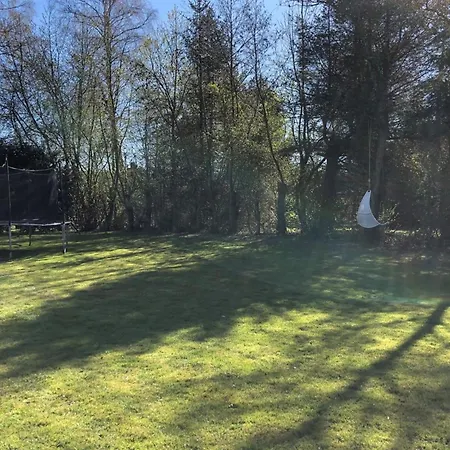 Casa vacanze Harald - 300m From The Sea By Interhome