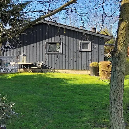 Casa vacanze Harald - 300m From The Sea By Interhome